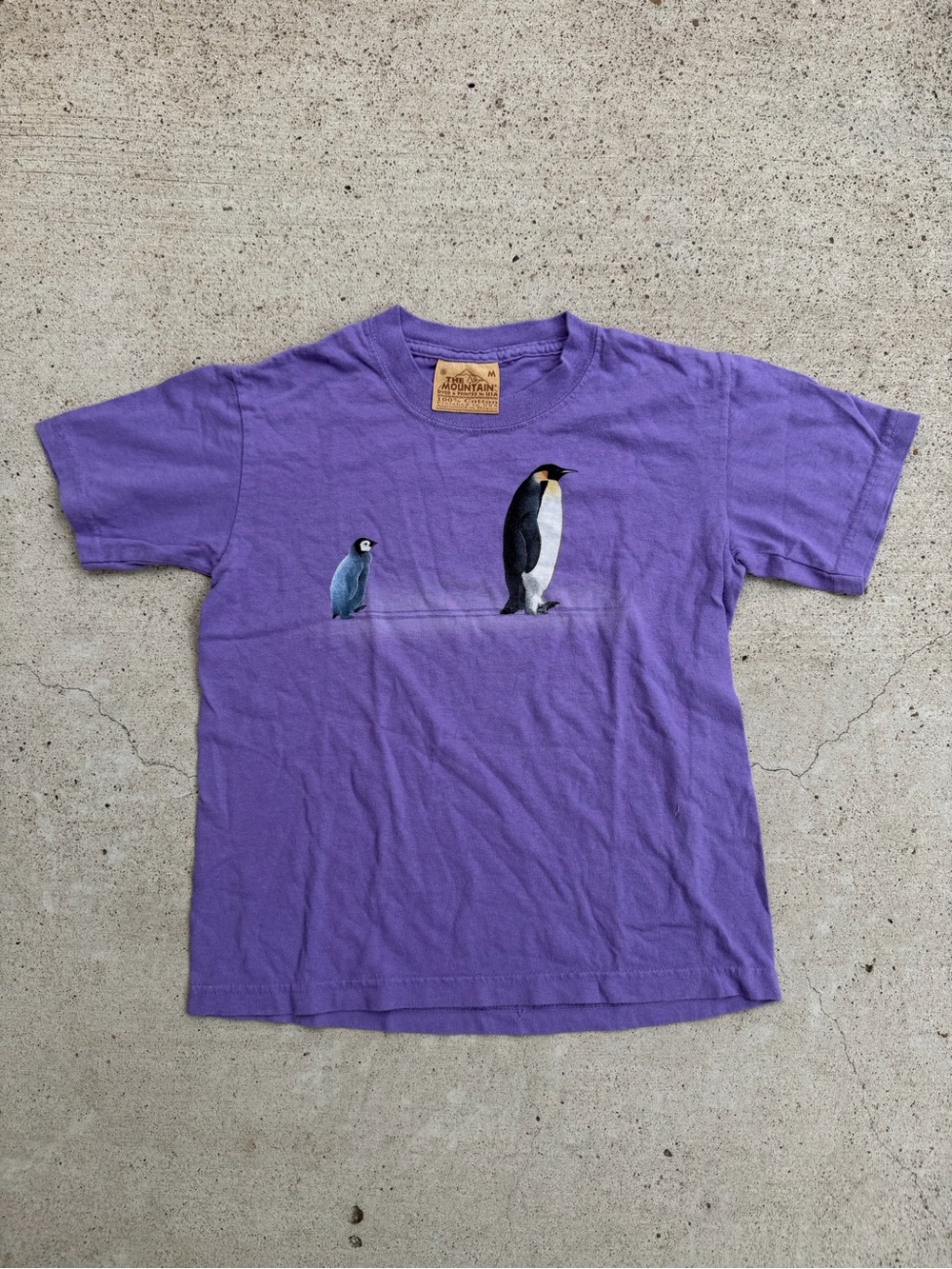 The Mountain Purple Penguin Graphic Tee Youth M Vintage Nature Shirt